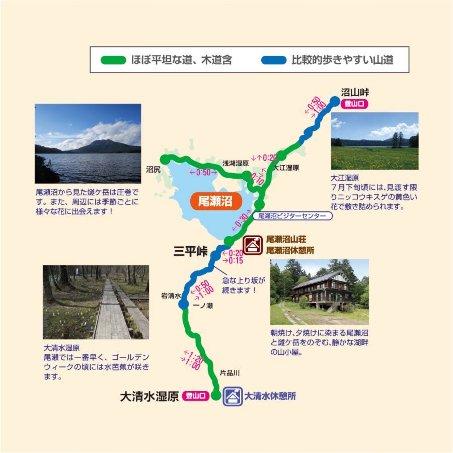 アクセスマップと路線図のイラスト
